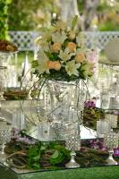 عکاسی گل آرایی کاووسی