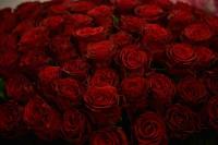 عکاسی محصولات کشاورزی