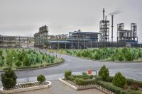 کربن سیمرغ