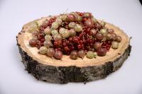 مواد غذایی