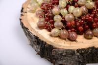 مواد غذایی