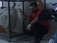 فیلم کوتاه نان نو