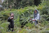 فیلم کوتاه بستر