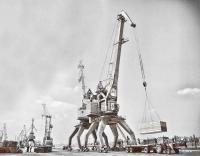 عکاسی  واید انگل